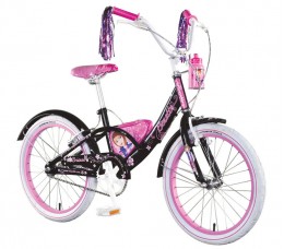 BICICLETA BRIANNA R20